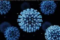 Latest developments of the new coronavirus variant that is disrupting the world and its symptoms