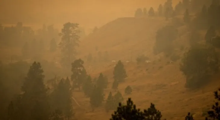 Latest updates on the wildfires sweeping through British Columbia