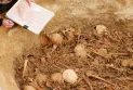 La France découvre un village archéologique datant de 3500 ans avant Jésus-Christ.