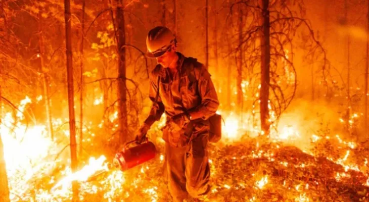 Wildfires cost British Columbia more than 500 million dollars.