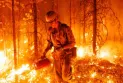 Wildfires cost British Columbia more than 500 million dollars.