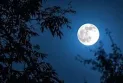 "The giant blue moon" is a rare astronomical phenomenon that lights up the sky tonight.
