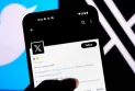 Mask reveals more about video calls on "X"...