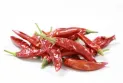 A Brazilian girl enters a rare coma after smelling the scent of hot pepper.
