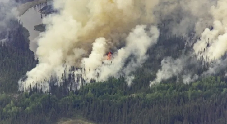 Wildfires cost Alberta more than 900 million dollars.