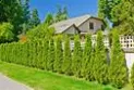 A fine of 150 thousand dollars for a woman who intentionally damaged her neighbors' trees in British Columbia.