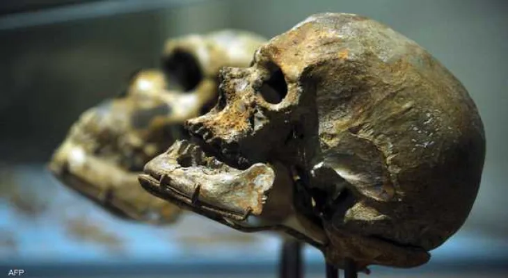 Scientists reveal: at this moment humanity was about to become extinct.