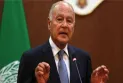 The Arab League welcomes the African Union's joining the G20.