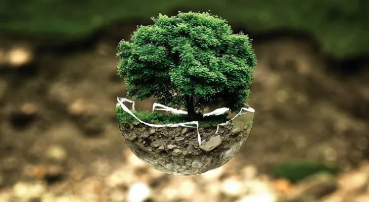 Non-governmental organization: More than 177 environmental activists killed in 2022.
