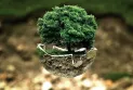 Non-governmental organization: More than 177 environmental activists killed in 2022.