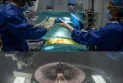Pig college in a human body.. an experiment ending with "unexpected" results