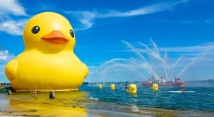 From the Toronto Film Festival to watching the giant rubber duck, here is what to do in Toronto this weekend.