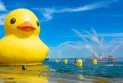 From the Toronto Film Festival to watching the giant rubber duck, here is what to do in Toronto this weekend.