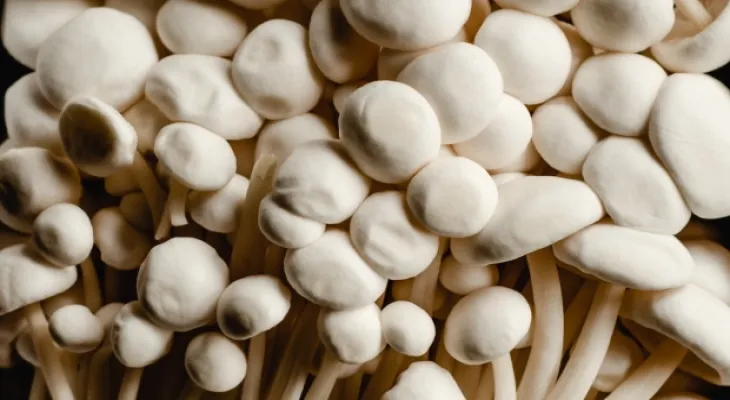 Investigation of "Golden Enoki Mushroom" for potential listeria contamination