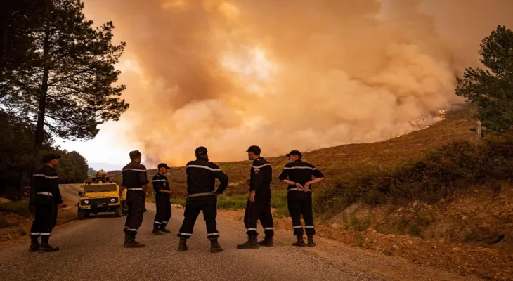 Control established over 9 fires in different areas of Algeria