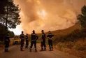 Control established over 9 fires in different areas of Algeria