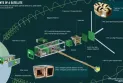 A Canadian startup is about to send a quantum sensor for magnetic fields into Earth's orbit.