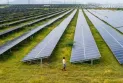 India expects to add 25 gigawatts of renewable energy during the current fiscal year.