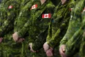 Canada plans to cut the national defense budget by one billion dollars...