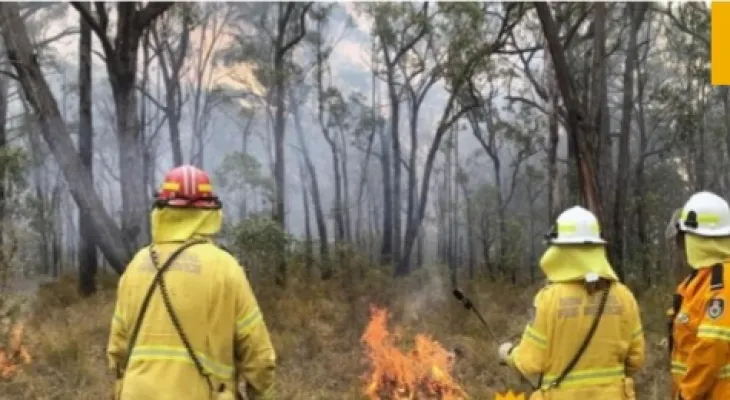 Australia records scorching temperatures that increase the risk of bushfires...