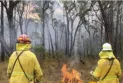 Australia records scorching temperatures that increase the risk of bushfires...