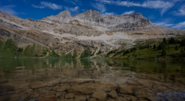 The killing of two people in a bear attack at Banff National Park...