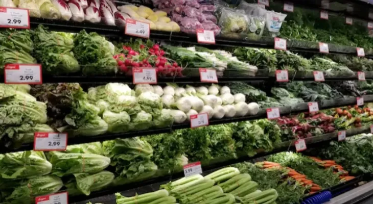 The Canadian Minister of Industry: Grocery chains promise more discounts and price freezes to achieve stability in food costs.