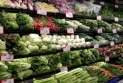 The Canadian Minister of Industry: Grocery chains promise more discounts and price freezes to achieve stability in food costs.