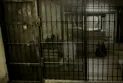 Lebanon: Prisoners' rebellion leaves victims burned inside their cells