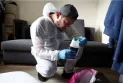 France: Closure of 7 schools due to the spread of bedbugs