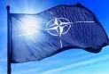 All NATO countries except the United States will increase military spending by 8.3%.