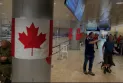 With the programming of two additional flights tomorrow, Monday, to evacuate its citizens... Canada is assessing the demand for the continuation of military evacuation operations.
