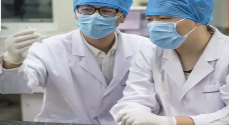 Chinese scientists develop low-carbon building materials inspired by worms