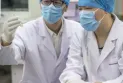 Des scientifiques chinois développent des matériaux de construction à faible émission de carbone inspirés des vers