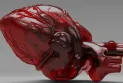 Sondage d'opinion : 1 Canadien sur 3 ne connaît pas la différence entre une crise cardiaque et un arrêt cardiaque