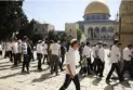 The occupation closes Al-Aqsa to worshippers and opens it to colonizers.