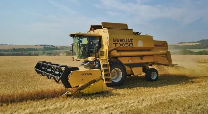 Ukraine: Grain exports decline by half during October