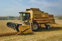 Ukraine: Grain exports decline by half during October