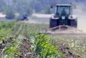 Canada: The economy remained stable in August with a contraction expected in the third quarter of this year