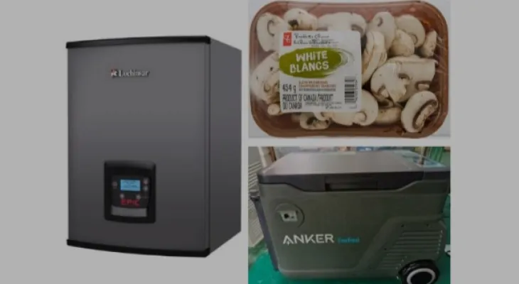 From window coverings to mushrooms... Here's what was recalled in Canada this week