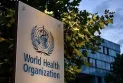 WHO welcomes the evacuation of 12 children with cancer from Gaza Strip to Egypt and Jordan