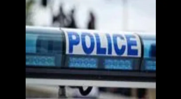 Right-wing extremists attack a conference on Palestine in France