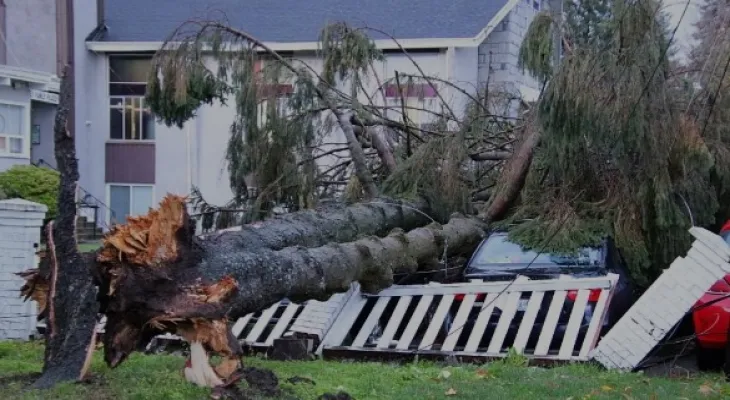 British Columbia: Storm knocks down trees and leaves more than 200,000 homes without electricity