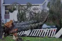 British Columbia: Storm knocks down trees and leaves more than 200,000 homes without electricity