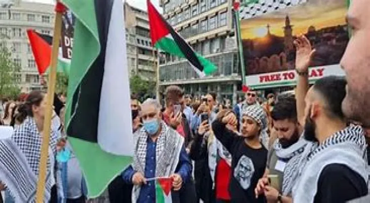 New solidarity stand in Austria to support the ceasefire in Gaza