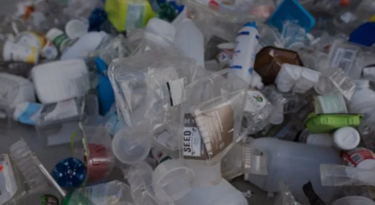 Canada: Federal court cancels the Cabinet order on banning single-use plastics