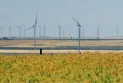 La société Amazon choisit l'Alberta pour construire sa première ferme éolienne au Canada
