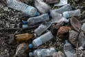 Ottawa fait appel du jugement du tribunal qui a annulé l'ordre de classer les plastiques comme substances toxiques