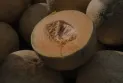 Santé Canada annonce un décès et 63 cas confirmés en raison d'une épidémie de salmonelle liée au melon.