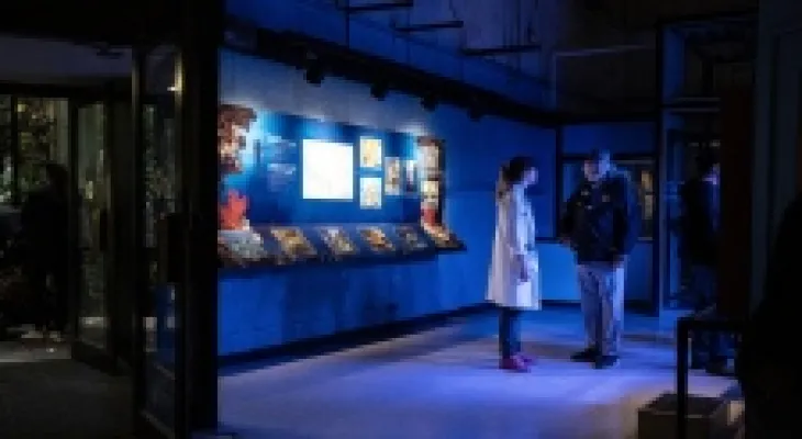 Study: Moving the Science Centre to Ontario Place could save the province millions